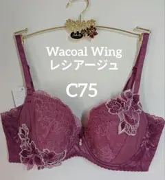 Item thumbnail for item 0093c3fd-1655-492d-9ed2-719ff300d4cf