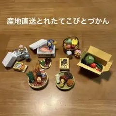 ☆産地直送とれたてこびとづかん☆2012年発売 全6種類セット