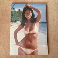 アグネスラム　特大ポスターパネル 木製ポスターパネル□特大アグネスラム・水着・女優・モデル