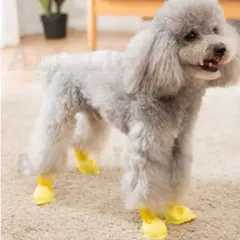 Item thumbnail for item 900648d9-bb18-49e8-82f4-2445cfc1c51b