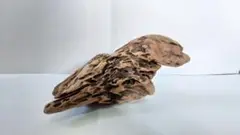 Item thumbnail for item a4d379e3-73a9-408f-bf9f-7d2153a814cd