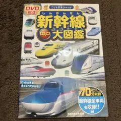 Item thumbnail for item 4a09e6c9-3d2f-4057-b6f9-fdc179f92635