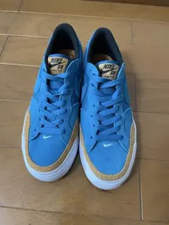 NIKE SB pogo