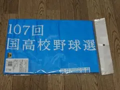 第107回　甲子園　全国高校野球選手権大会　フード付きクールタオル