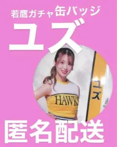 若鷹ガチャ 2025 ハニーズ ユズ 缶バッジ ゆず ホークス バッジ