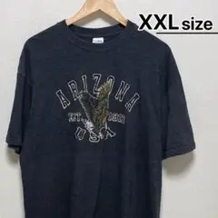 USA古着　Tシャツ　2X　ダークグレー　プリント　イーグル　アニマル　アリゾナ