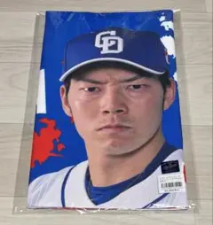 野球 中日ドラゴンズ 木下雄介 フォトフェイスタオル オールプレイヤーズ 新品