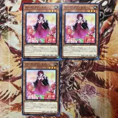 ローズプリンセス 3枚セット