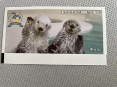 鳥羽水族館　使用済み　入場券2枚
