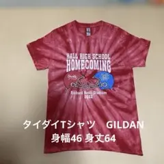 タイダイTシャツ　GILDAN 身幅46 身丈　65