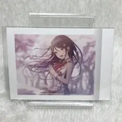【匿名配送】プロセカ　ぱしゃこれ　vol.4 星野一歌