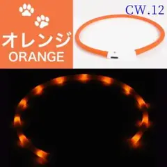 Item thumbnail for item 545e32a2-e758-4800-b2a6-4f121daf54ec