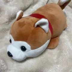 2025年最新】秋田犬 くじの人気アイテム - メルカリ