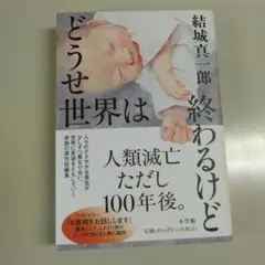 どうせ世界は終わるけど
