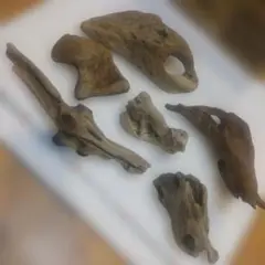 Item thumbnail for item be19915a-1737-4ab8-845a-018a4603d82f