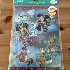 TDR ディズニー七夕デイズ2014 クリアホルダー2枚セット