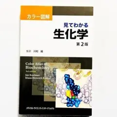 【超美品・書込みなし・24時間以内の爆速発送！】見てわかる生化学 カラー図解