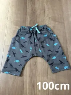 恐竜柄ハーフパンツ サイズ100cm