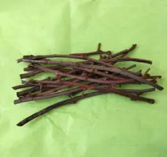 Item thumbnail for item 28ecd412-7ab0-4811-b012-fc3df1e0db32