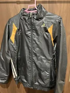 Item thumbnail for item 29cec739-515f-4a2e-bf26-0a209ced9442