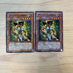 【遊戯王デュエルモンスターズ】アマゾネスの格闘戦士 2枚セット