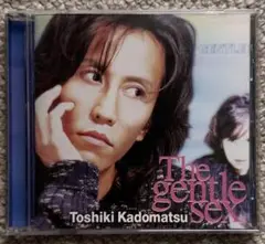 角松敏生 / The gentle sex