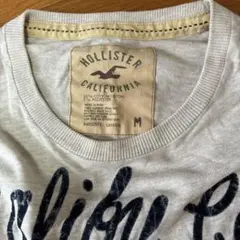 HOLLISTER Tシャツ M