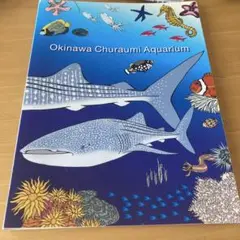 沖縄美ら海水族館 観察ガイド