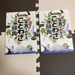 新レインボー写真でわかることわざ辞典