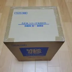 G.E.M.シリーズ BLEACH 四楓院夜一 破面篇 完成品フィギュア