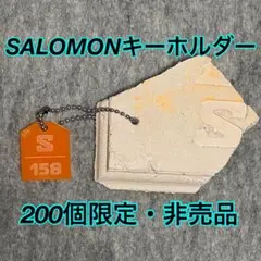 SALOMONサロモン キーホルダー 石板 非売品 200個限定 シリアルNO有