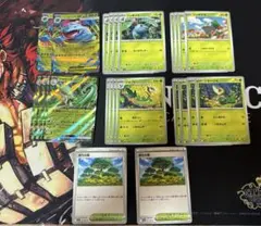 メガフシギバナex 進化ライン 他 くさタイプデッキパーツ
