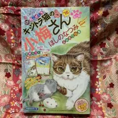 キジトラ猫の小梅さん 雑誌 カレンダー付き ねこぱんち