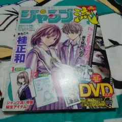 ジャンプ流!DVD付分冊マンガ講座17　桂正和