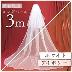 ウエディングベール ロングタイプ コーム付き ベールダウン可 2層 h4