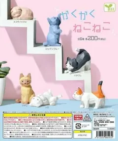 ガチャ かくかくねこねこ ハチワレ 猫 単品 新品
