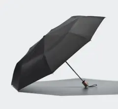 Item thumbnail for item 90456478-f4ef-41b1-8621-27f940e50087