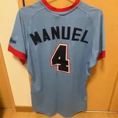 東京ヤクルトスワローズ　マニエル　ユニフォーム　フリーサイズ