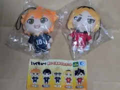 ハイキュー!! ぬいぐるみマスコット 日向翔陽 孤爪研磨 2点SET 新品