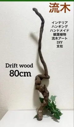 Item thumbnail for item e7bd3ae6-f3ba-4320-bfbf-4d4542a283de