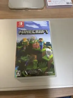 マイクラ　Switch