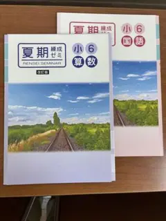小学６年＊夏期錬成ゼミ小6標準編＊国語＆算数セット＊夏期講習
