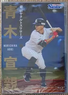 東京ヤクルトスワローズ•青木宣親 Blu-ray