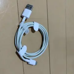 純正品 アップル Apple Type-C - Lightningケーブル