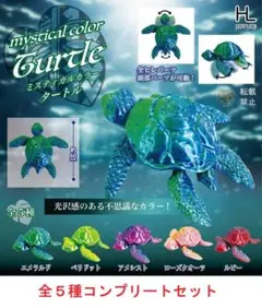 ミスティカルカラータートル 全５種セット　カプセルトイ