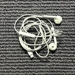 iPhone付属品 アップル純正ライトニングイヤホン