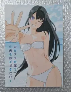 コミケ106 C106 たむらみかん 青春ブタ野郎は作画を修正できない1 青ブタ