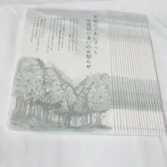 年賀状じまいはがき 20枚セット 冬の森 終活 CAMINO デザイン