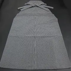 Item thumbnail for item edccfad2-8b30-4777-9a22-3d8a08daee43