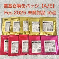 【未開封】FGOフェス 霊基召喚缶バッジ Fes.2025 AE 10点